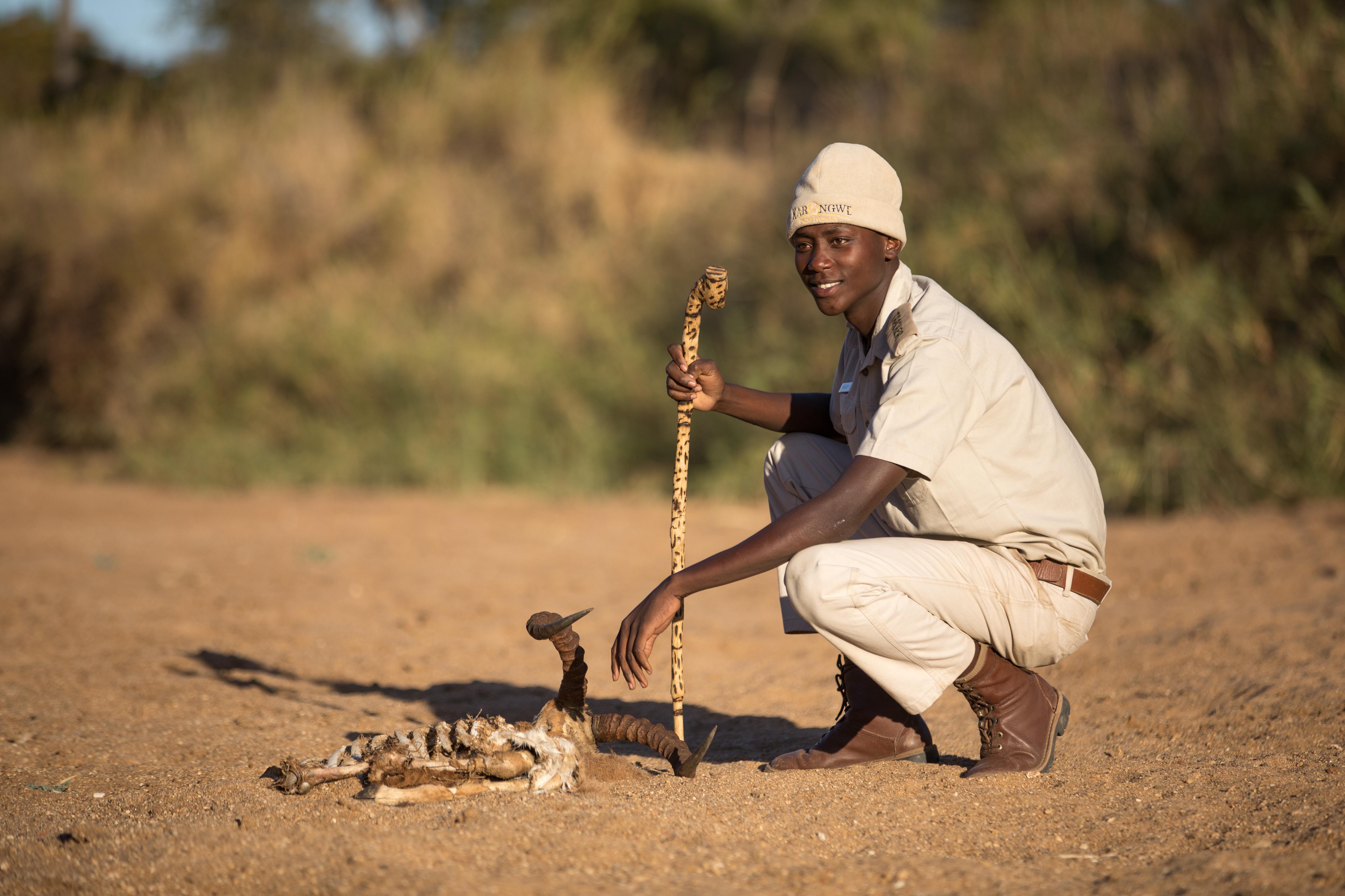 Karongwe Portfolio- Shiduli Private Game Lodge Karongwe Game Reserve Екстер'єр фото