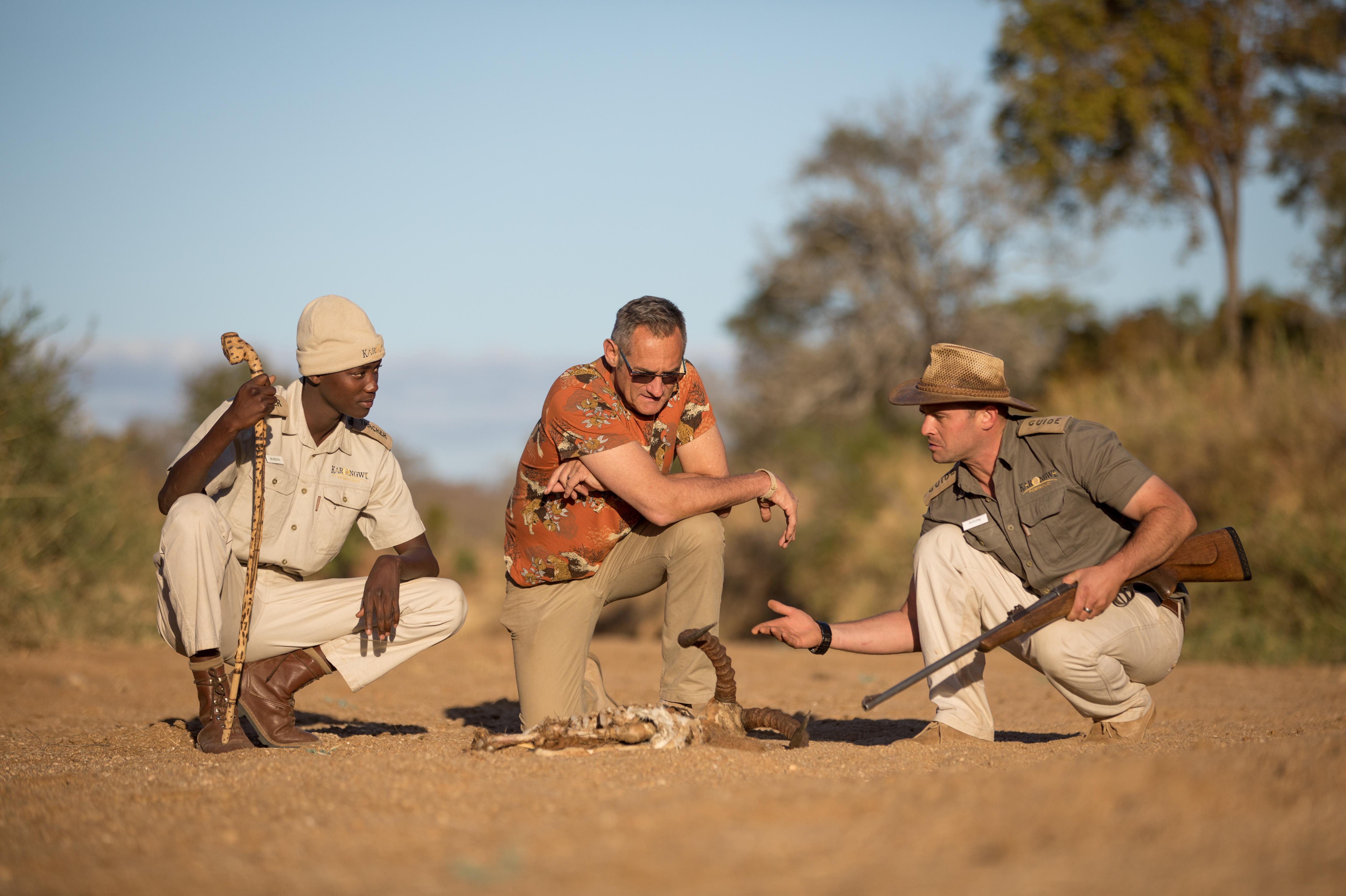 Karongwe Portfolio- Shiduli Private Game Lodge Karongwe Game Reserve Екстер'єр фото