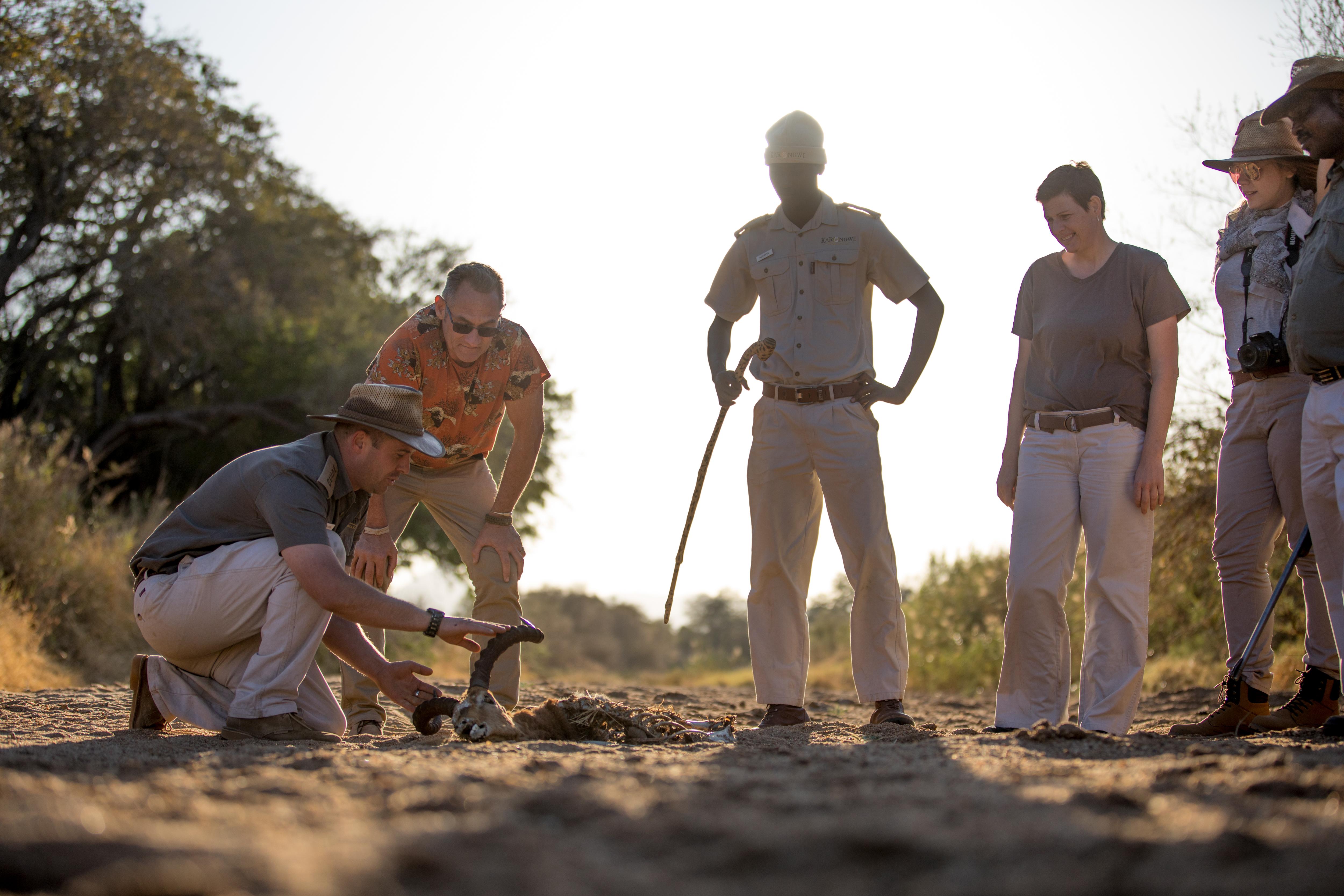 Karongwe Portfolio- Shiduli Private Game Lodge Karongwe Game Reserve Екстер'єр фото