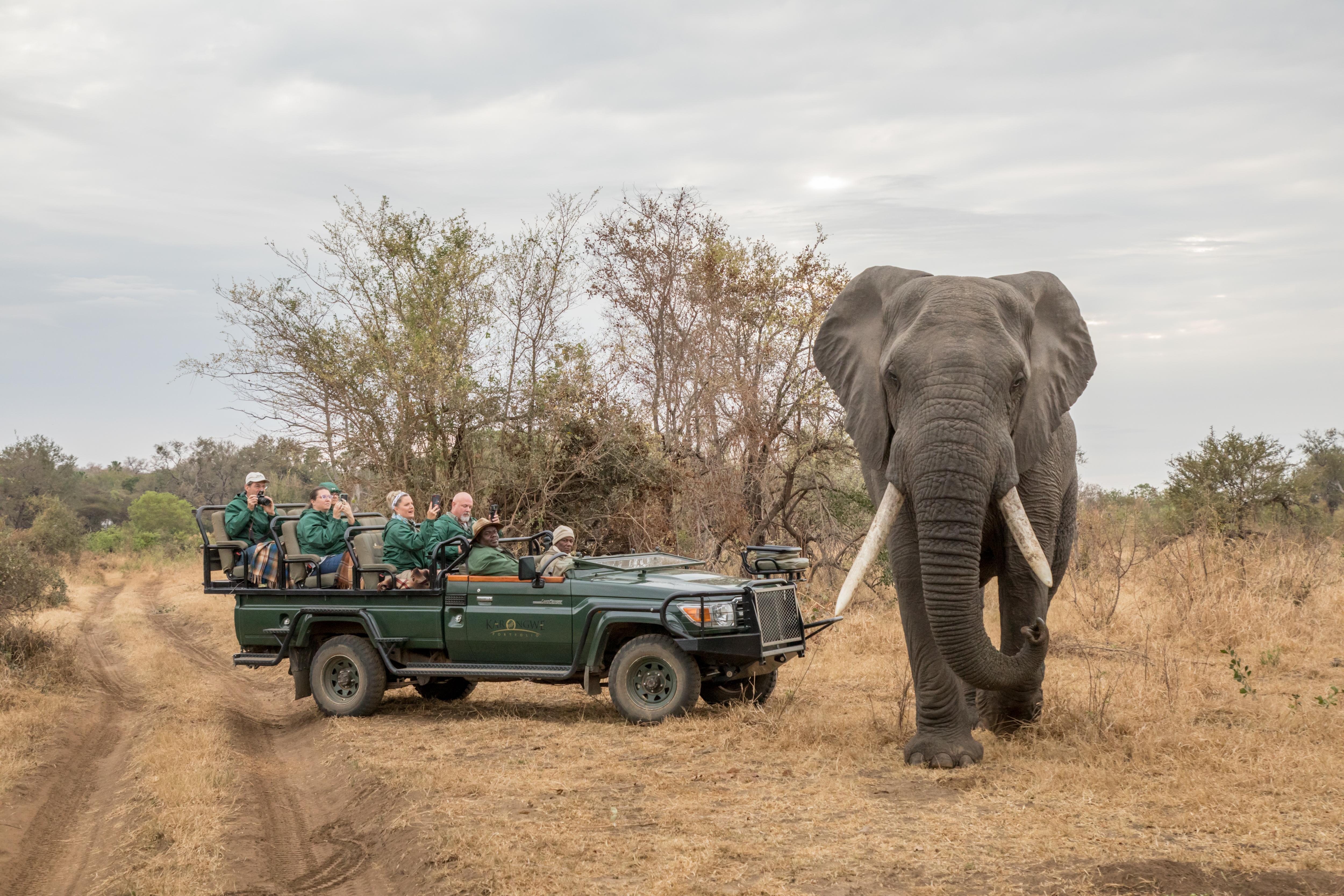 Karongwe Portfolio- Shiduli Private Game Lodge Karongwe Game Reserve Екстер'єр фото