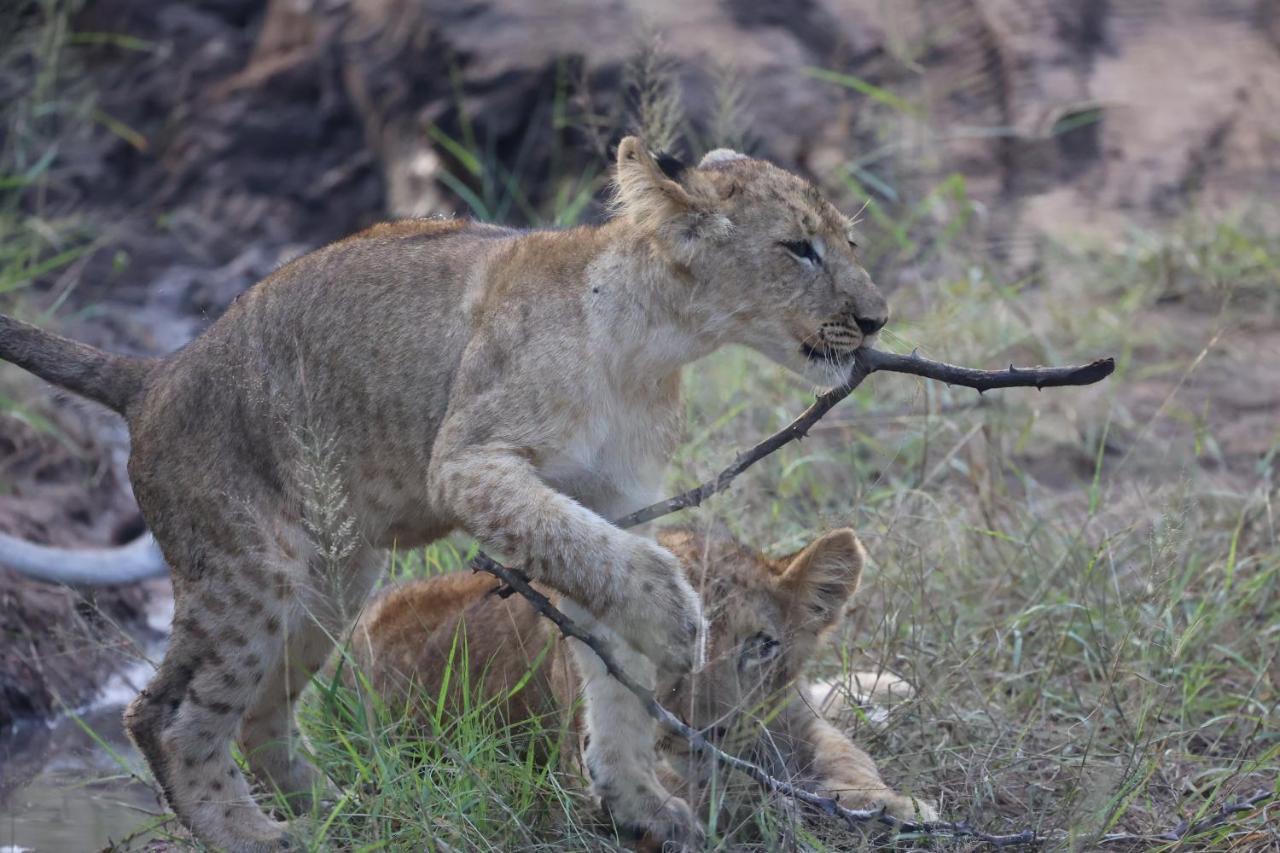 Karongwe Portfolio- Shiduli Private Game Lodge Karongwe Game Reserve Екстер'єр фото