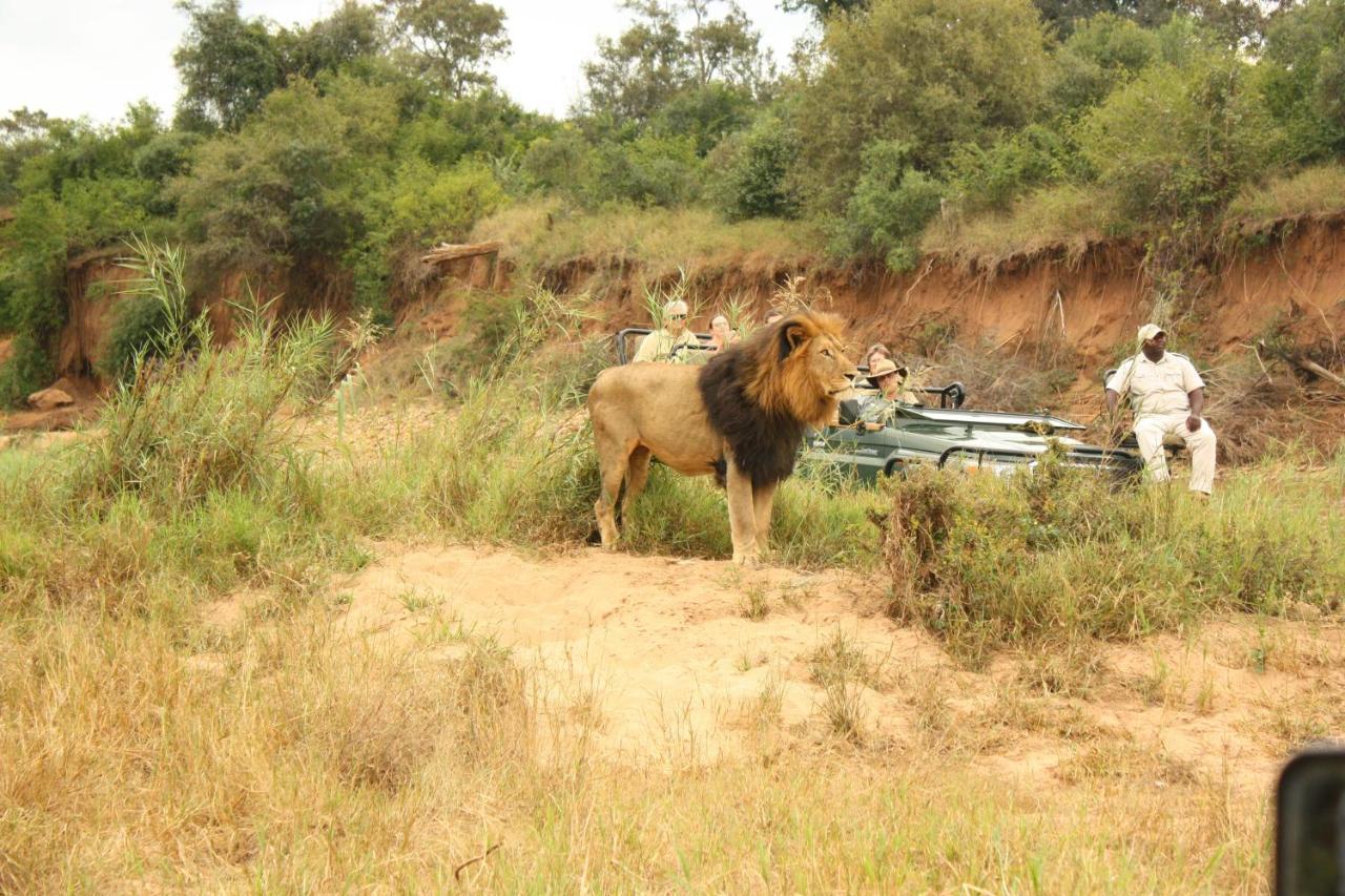 Karongwe Portfolio- Shiduli Private Game Lodge Karongwe Game Reserve Екстер'єр фото