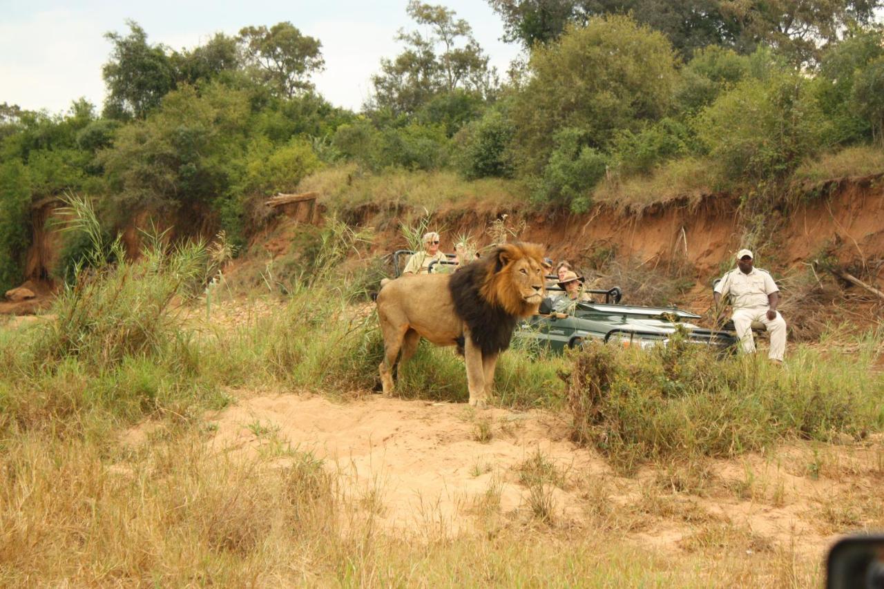 Karongwe Portfolio- Shiduli Private Game Lodge Karongwe Game Reserve Екстер'єр фото