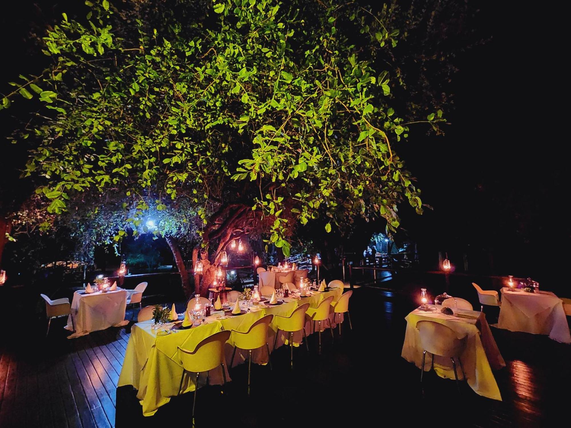 Karongwe Portfolio- Shiduli Private Game Lodge Karongwe Game Reserve Екстер'єр фото