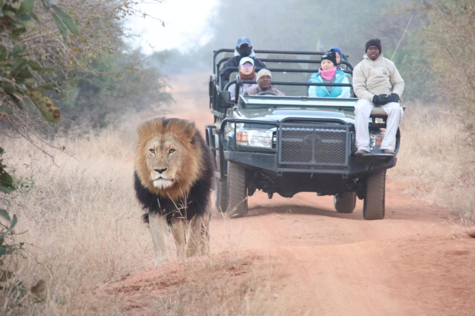 Karongwe Portfolio- Shiduli Private Game Lodge Karongwe Game Reserve Екстер'єр фото