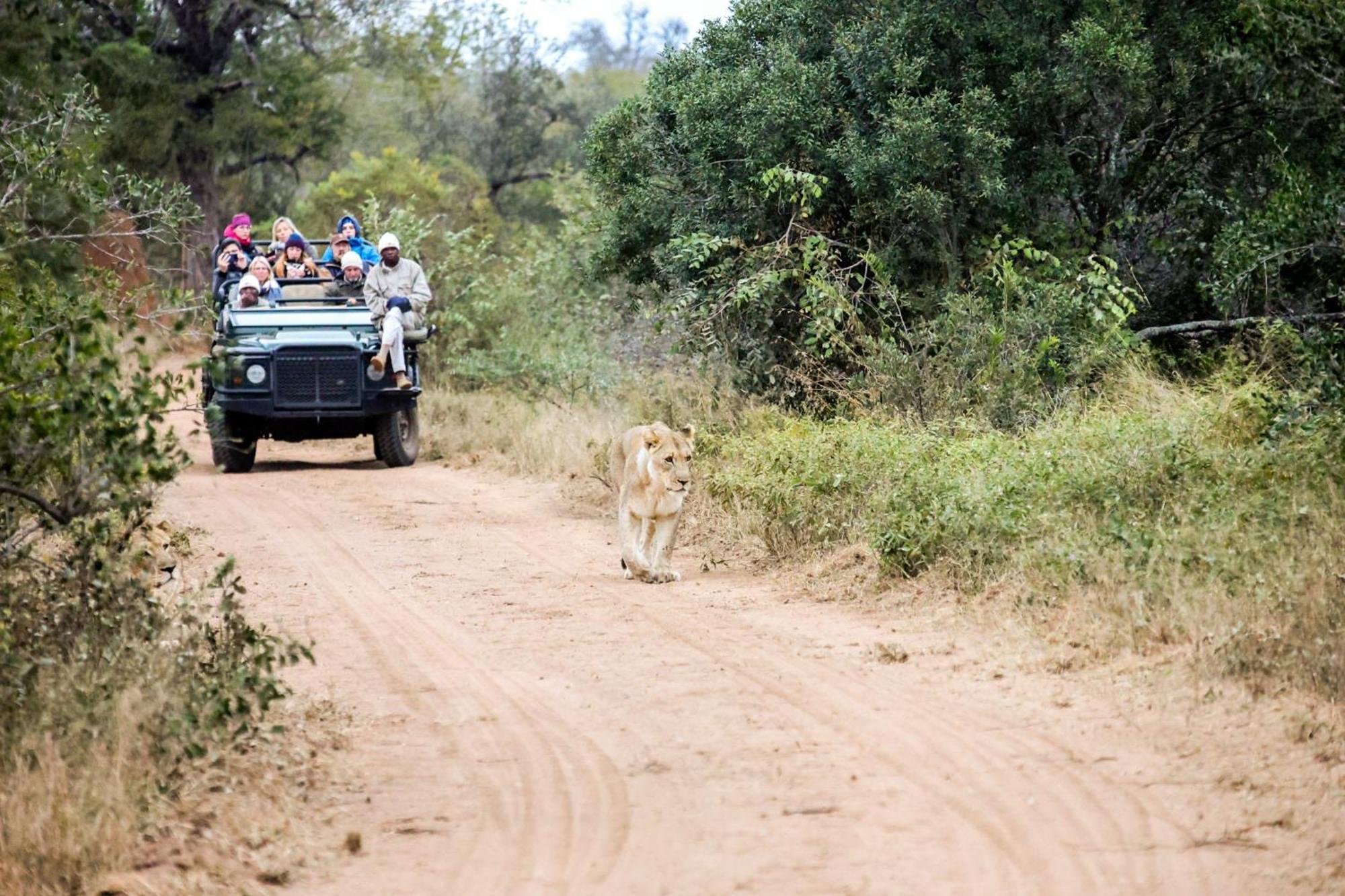 Karongwe Portfolio- Shiduli Private Game Lodge Karongwe Game Reserve Екстер'єр фото