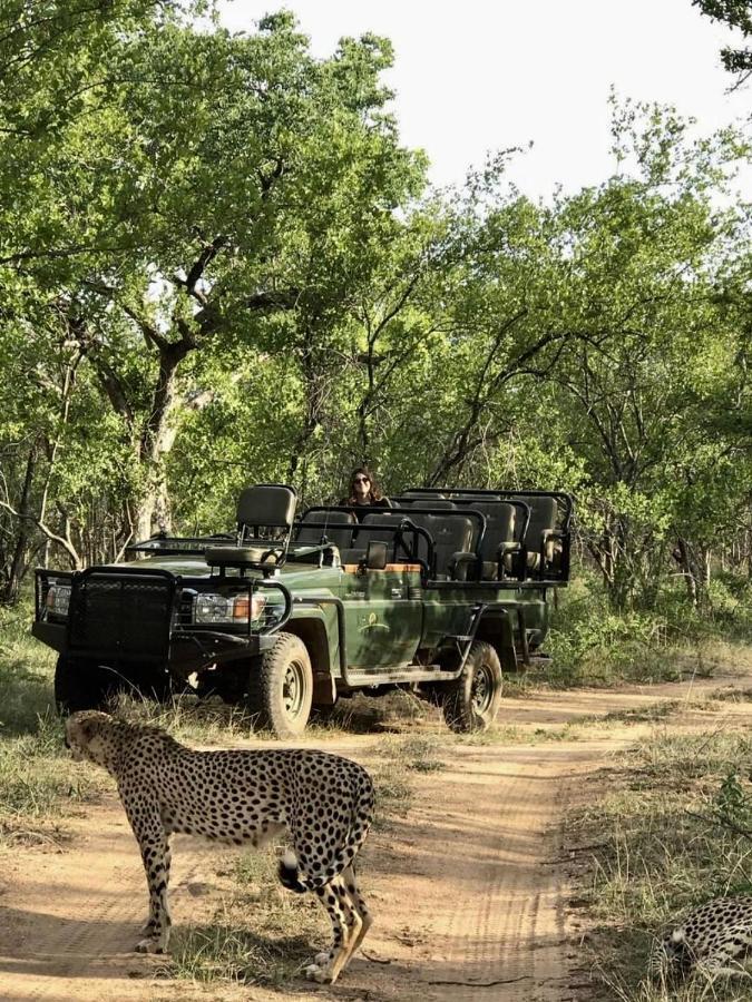 Karongwe Portfolio- Shiduli Private Game Lodge Karongwe Game Reserve Екстер'єр фото